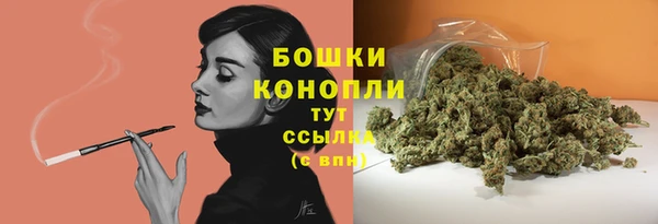 Альфа ПВП Касимов