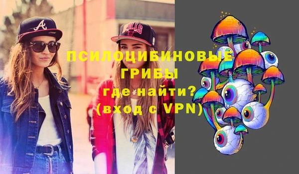 тгк Карпинск